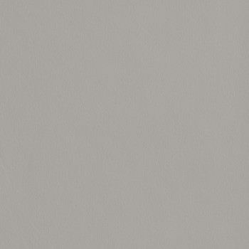 Иверица Egger F765 ST20 Četkano srebro - 2800x2070x18mm